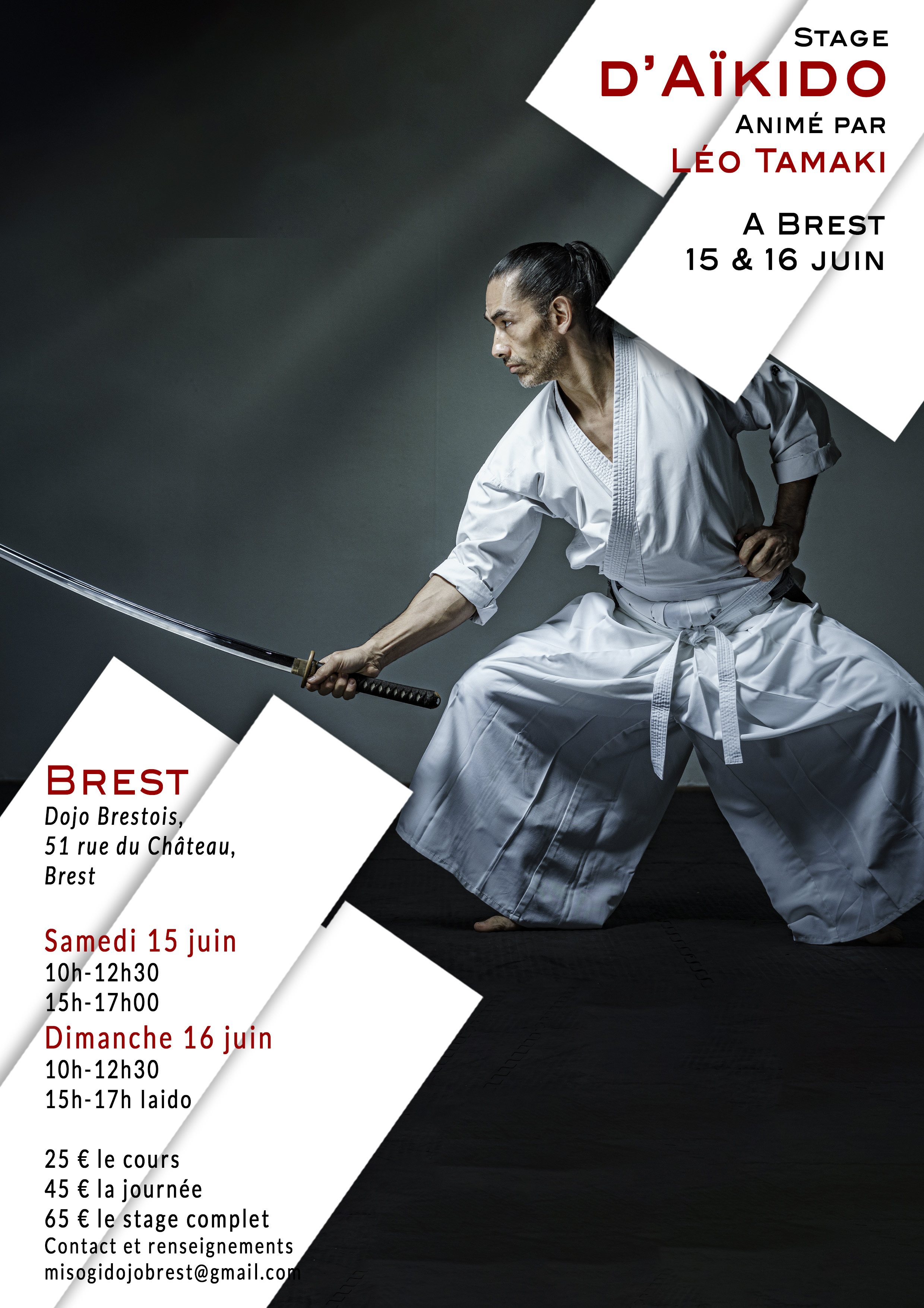 Stage Kishinkai Aïkido avec Léo Tamaki à Brest