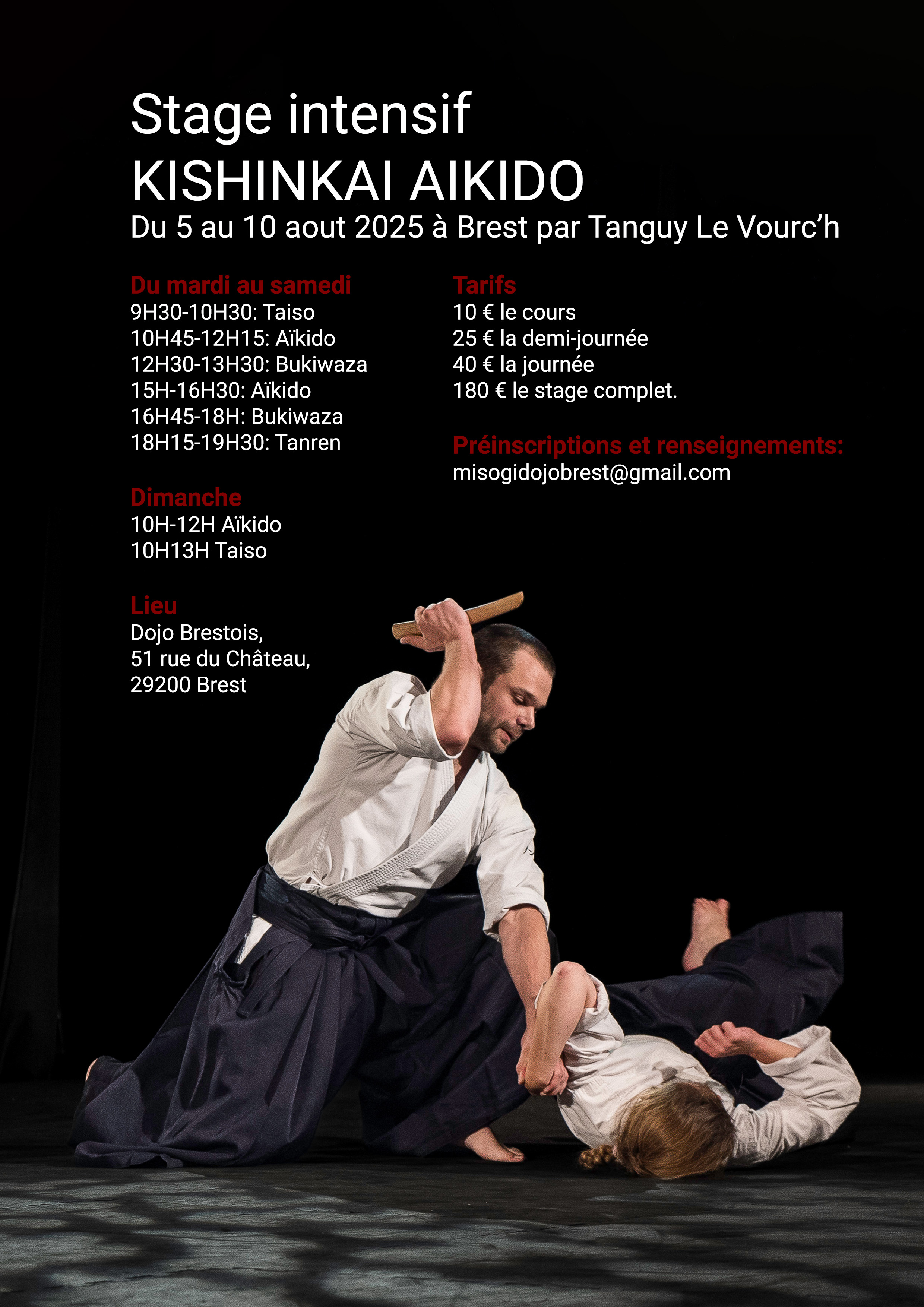 Stage intensif Kishinkai Aïkido à Brest animé par Tanguy Le Vourc'h aout 2025