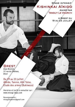 Stage intensif Kishinkai Aïkido à Brest animé par Tanguy Le Vourc'h